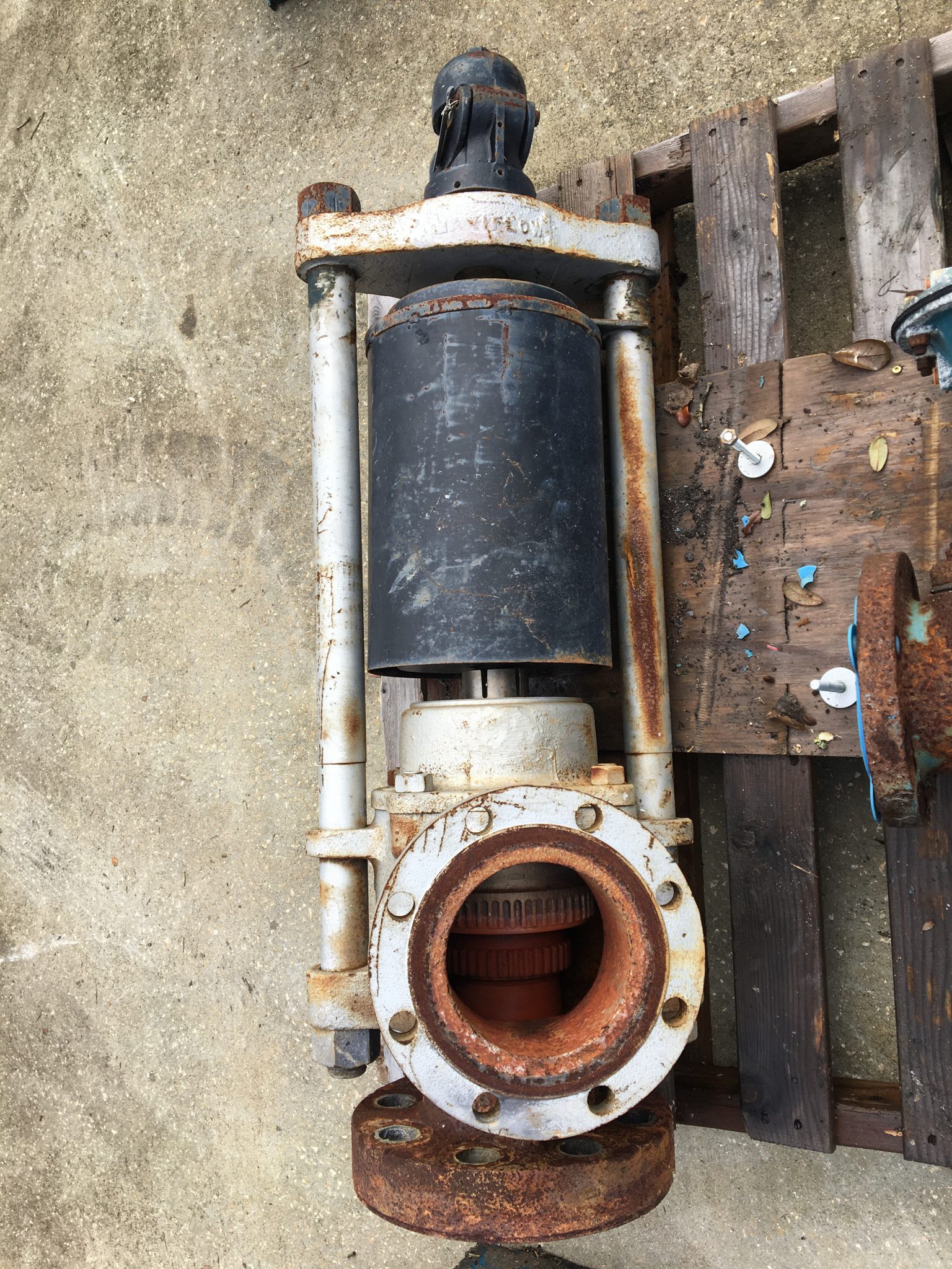 Safety valve theory first amendment picture